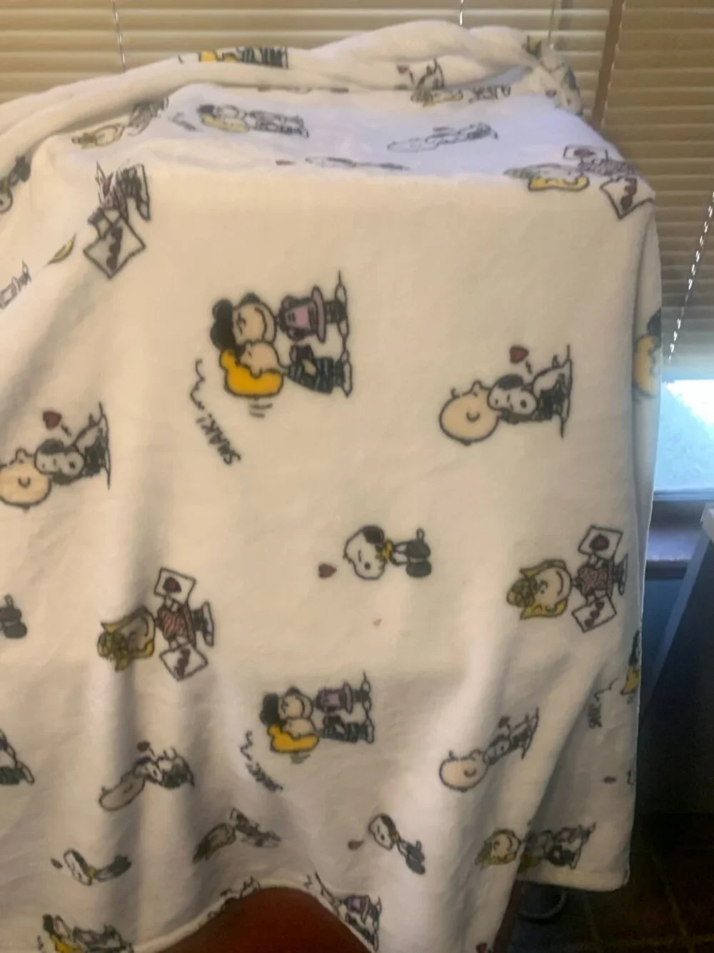 Berkshire Velvetloft Peanuts Snoopy Valentine  Plush Throw Blanket SELLING AS IS
